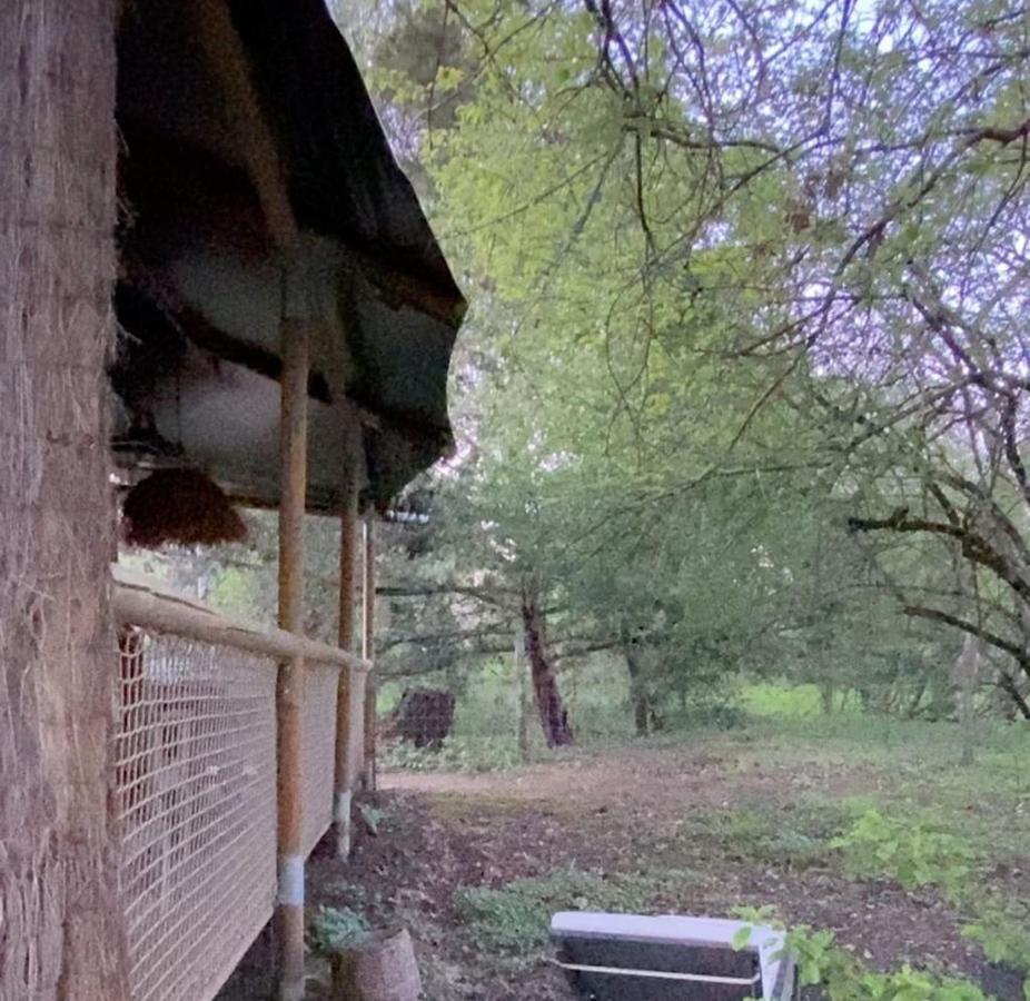 Ecolodge Beauregard Treigny Esterno foto