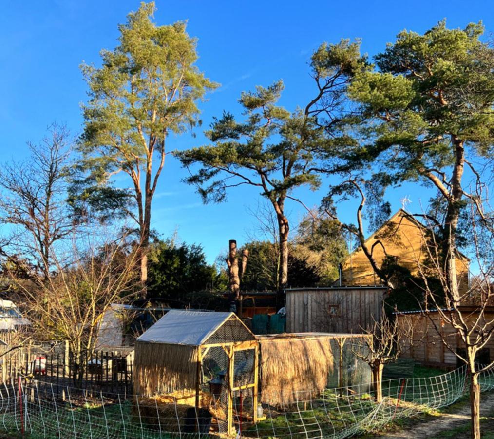 Ecolodge Beauregard Treigny Esterno foto