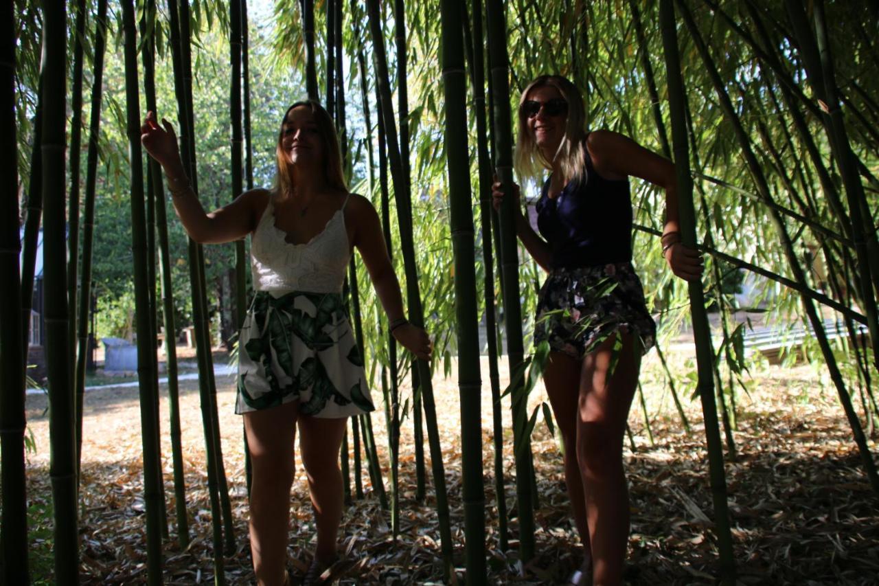Ecolodge Beauregard Treigny Esterno foto