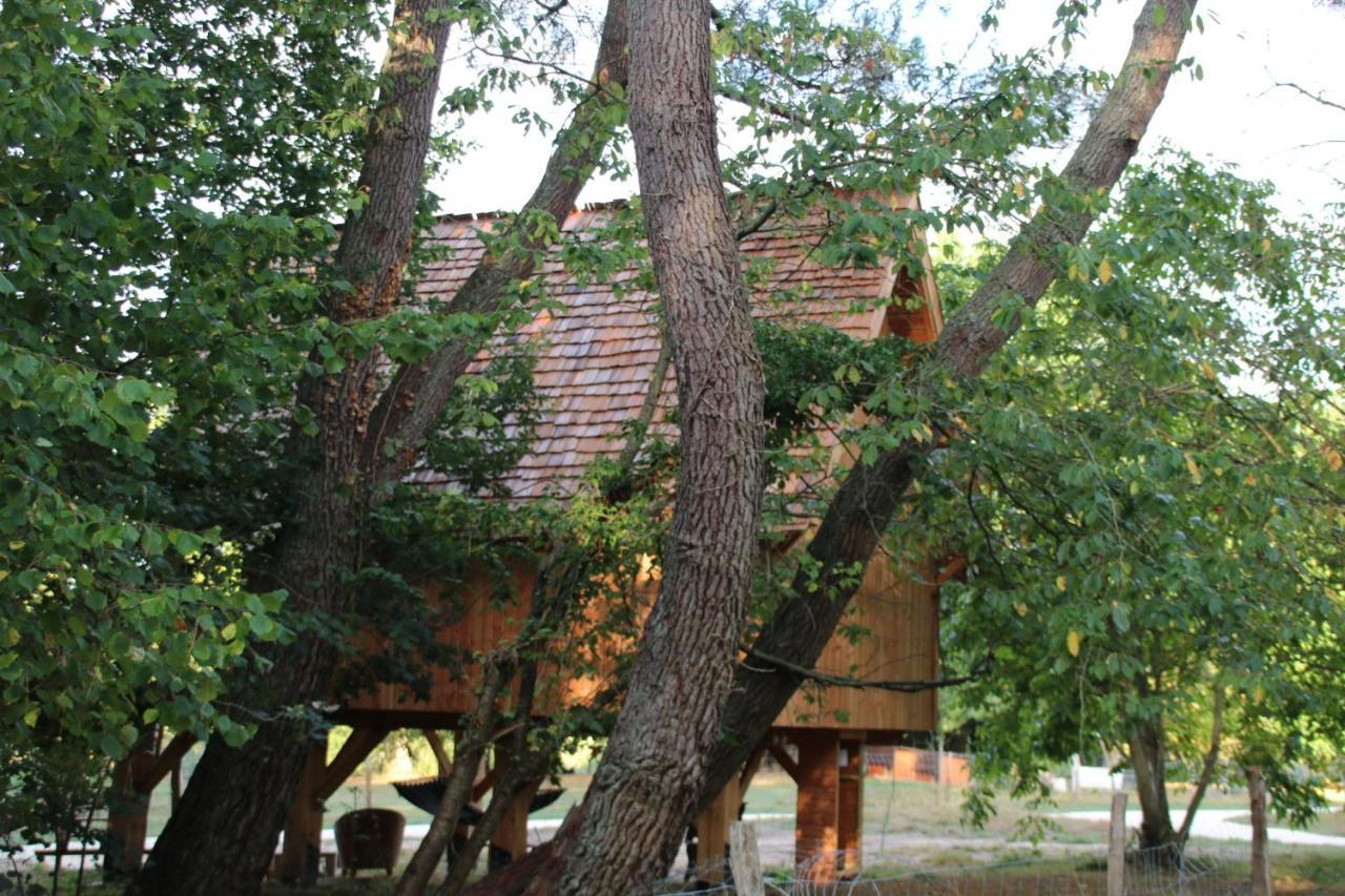 Ecolodge Beauregard Treigny Esterno foto