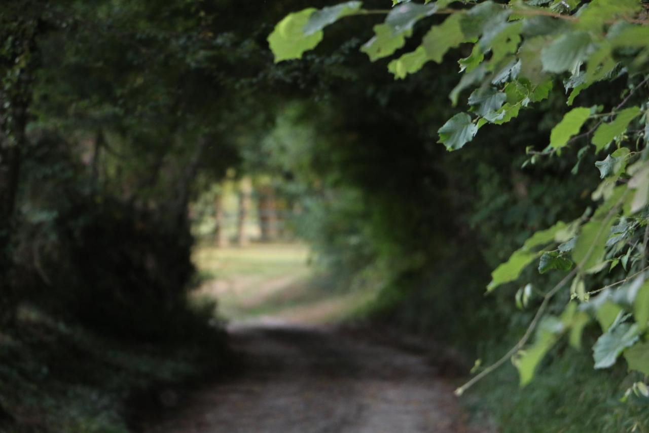 Ecolodge Beauregard Treigny Esterno foto