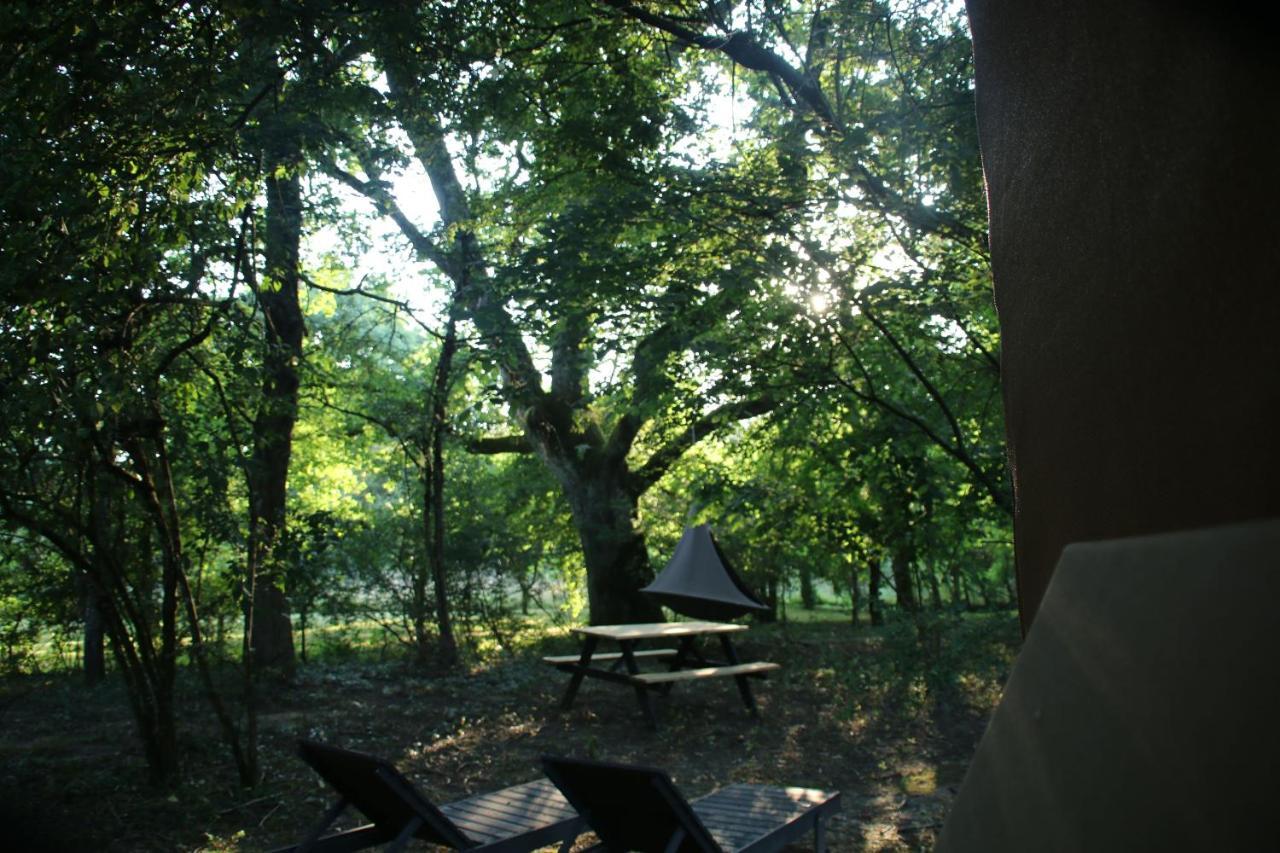 Ecolodge Beauregard Treigny Esterno foto