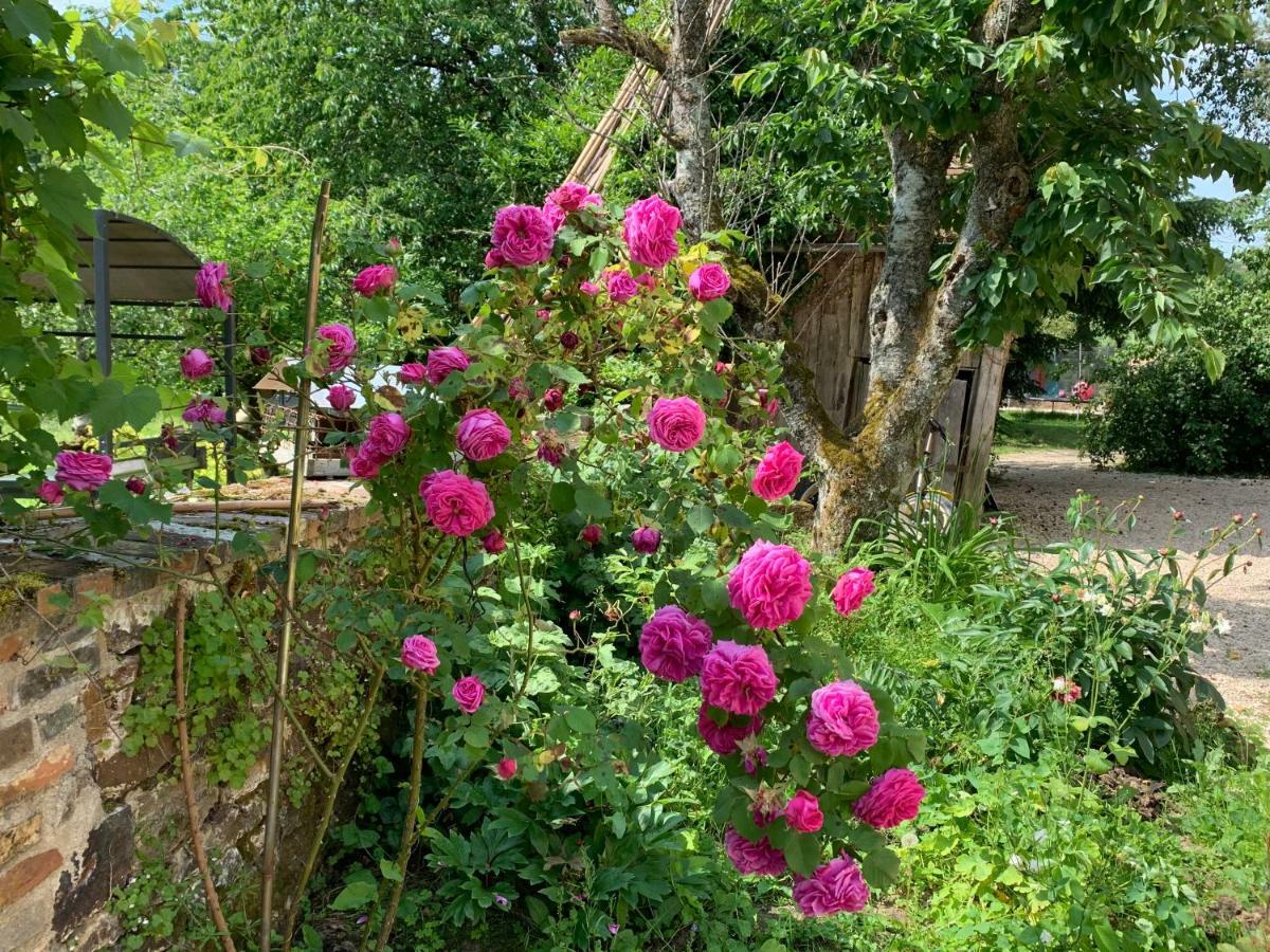 Ecolodge Beauregard Treigny Esterno foto