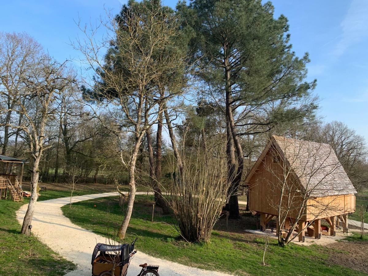 Ecolodge Beauregard Treigny Esterno foto