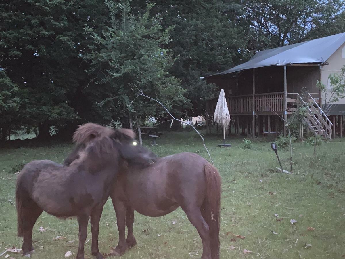 Ecolodge Beauregard Treigny Esterno foto