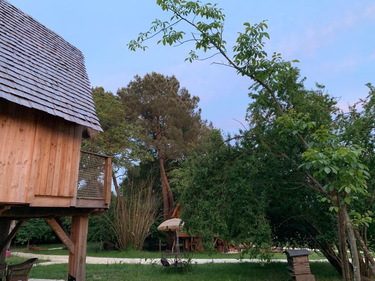 Ecolodge Beauregard Treigny Esterno foto