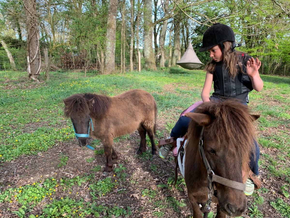 Ecolodge Beauregard Treigny Esterno foto